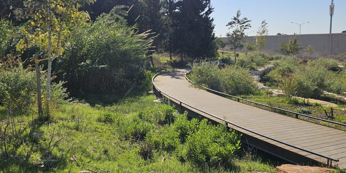 ובמקום השלישי: טיילת היער של חריש