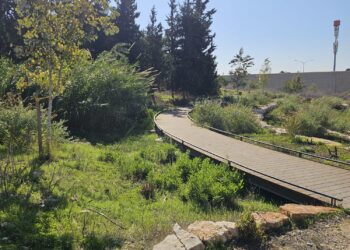 ובמקום השלישי: טיילת היער של חריש