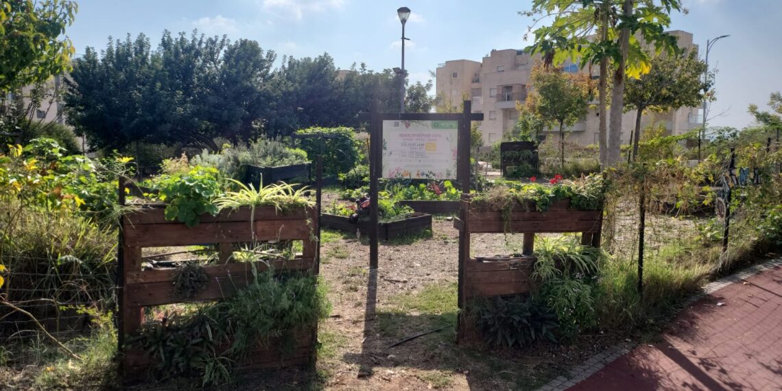 שבוע טבע עירוני בחריש: פעילויות קהילתיות לכל המשפחה