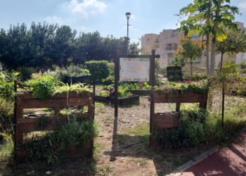 שבוע טבע עירוני בחריש: פעילויות קהילתיות לכל המשפחה