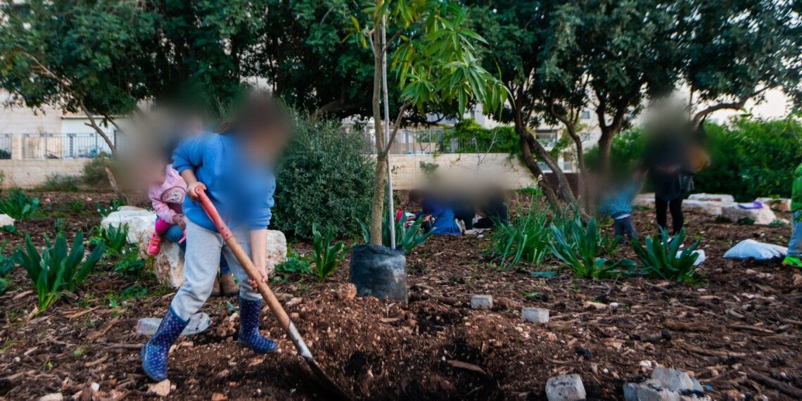 לקראת ט"ו בשבט: כך תשמרו על בריאותכם