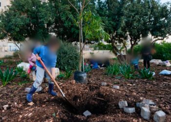 לקראת ט"ו בשבט: כך תשמרו על בריאותכם