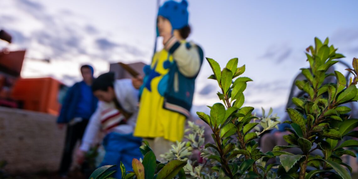 ט"ו בשבט בחריש: סדר קהילתי, הפנינג בשדרה וקבלת שבת בגינה