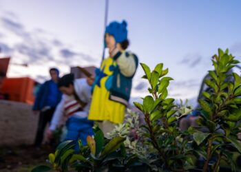 ט"ו בשבט בחריש: סדר קהילתי, הפנינג בשדרה וקבלת שבת בגינה