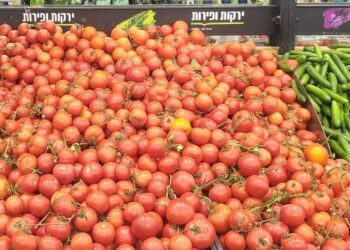 החלה מלחמת המחירים בחריש