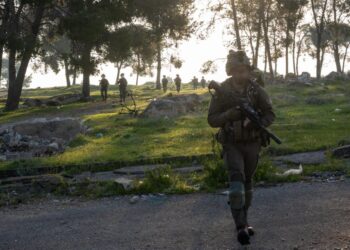 a group of people walking on a path with trees and grass