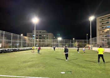 הדשא של השכנים