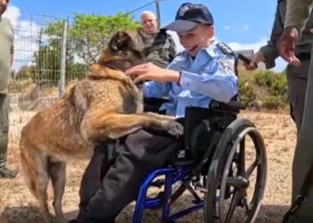 הגשמת חלום בחריש: דילן שטיינברג בן ה-11 הפך לשוטר ליום אחד