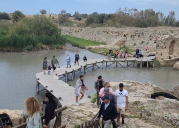 קרוב, ירוק ומרגיע: טיולים נהדרים לחול המועד – עד חצי שעה מהבית